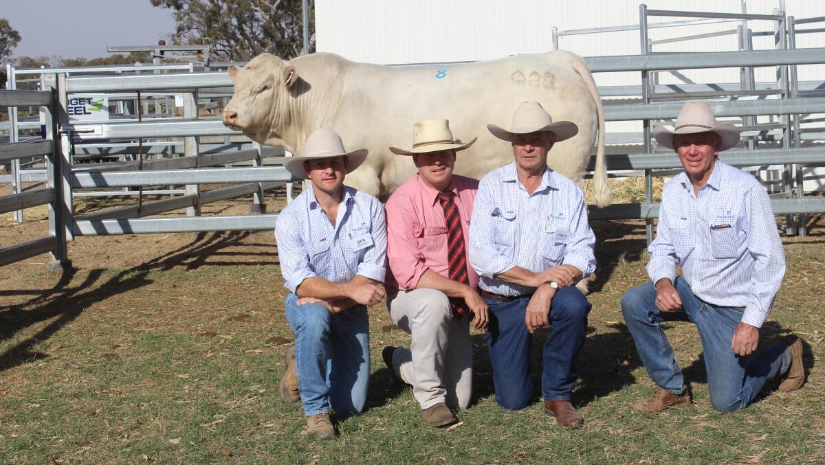 Palgrove Necessity sold for a top price of $38,000 and is pictured with Ben Noller, auctioneer Michael Smith, David Bondfield and David Smith.