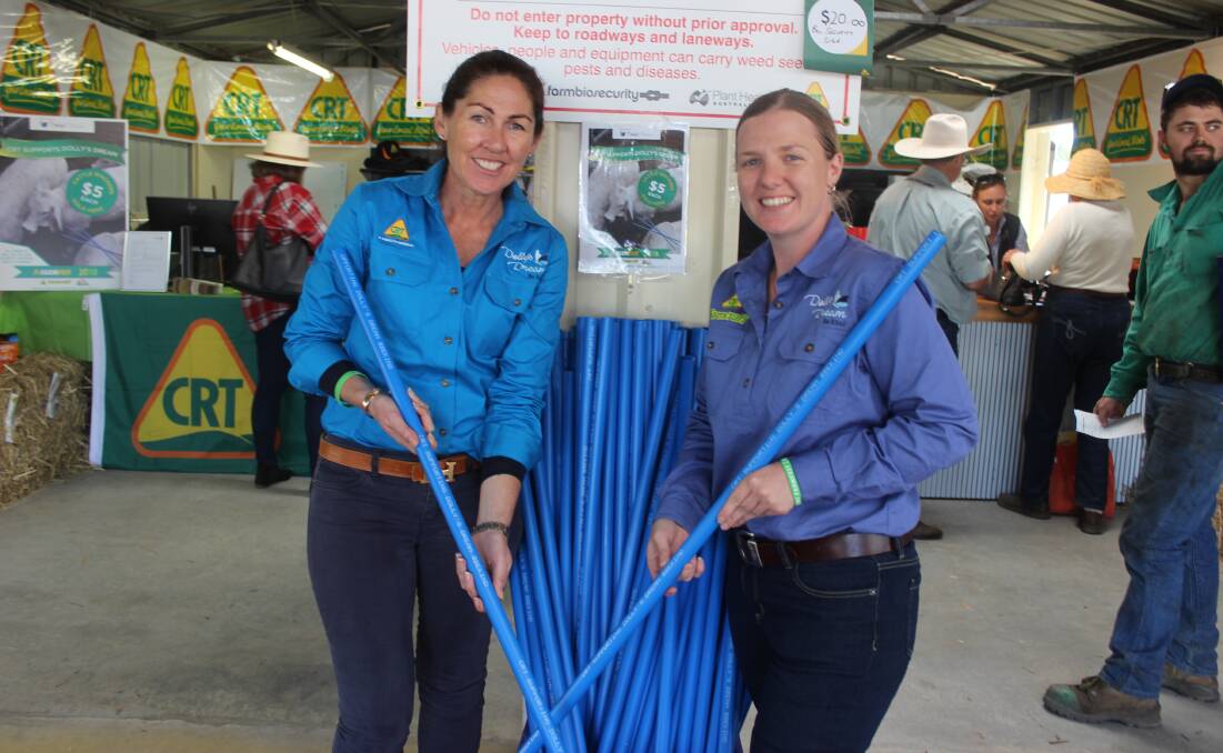 Sharon Dew, Qld and NT State manager for CRT with Rachael Long, Farmcraft CRT, Coopers Plains,  with the blue Dolly drafting sticks at the Farmfest site. Picture: Helen Walker. 