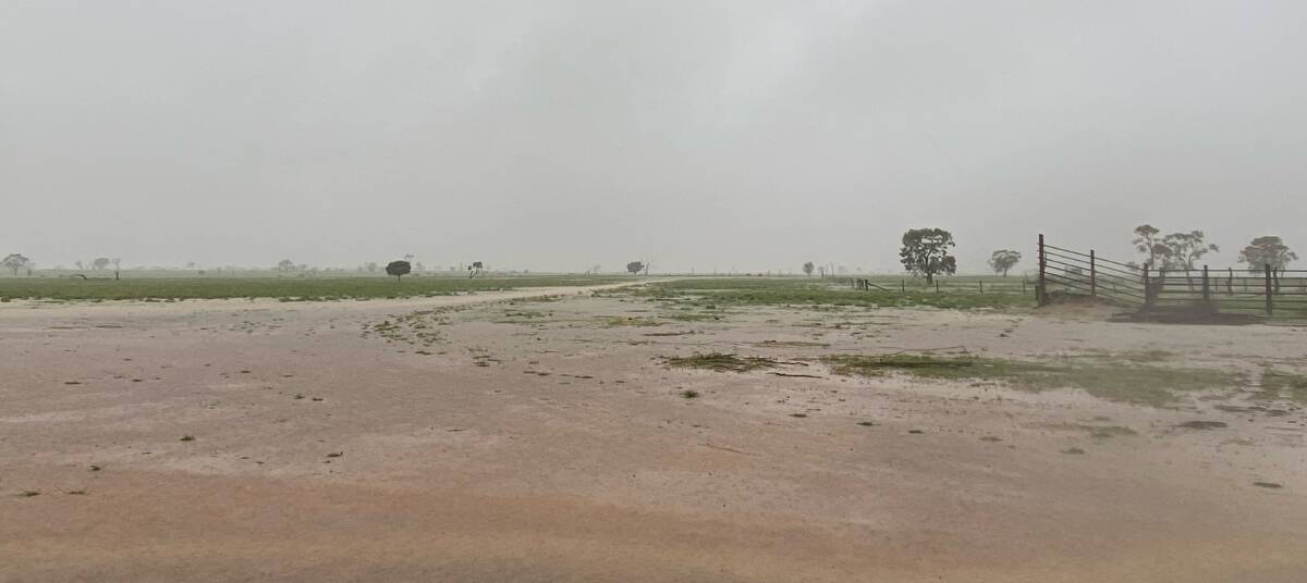 Keith and Jenny Gordon, El Kantara, situated 90 kilometres south west of Longreach, have received 150 millimetres of rain since midnight on Monday night. Picture: Jenny Gordon
