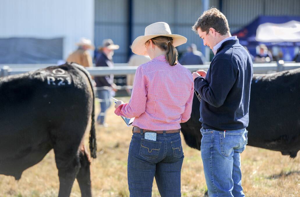 The spring bull selling season is in full swing with many stud vendors realising averages way above their expectations. Agents say it was once the price of four steers, needed to replace a good bull. But this year, with the good cattle prices, you will need five heavy steers.