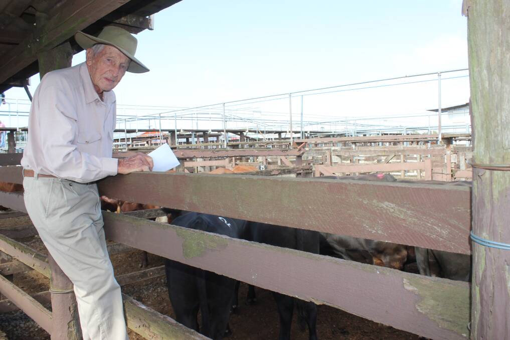 Stan Stower, Atholwood Farming Co, Southbrook, was on hand to see his 20 Angus x Red Angus steers sell for an average price of $1498/head at the Toowoomba sale on Monday. Picture Helen Walker
