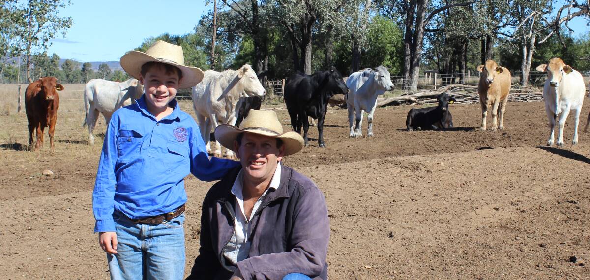 Arron Slattery,and son Finley, aged eight, look over a line of crossbred feeder steers that are halfway through their 70 day assisted feed regime.