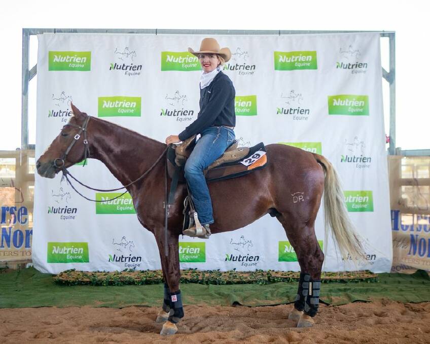 A top price of $65,000 was achieved for the seven year old stallion, Donnell Park Elgrando, offered by Camelock Rural, Augathella at the Nutrien Northern Horse sale at Charters Towers. Picture Kate Jones. 