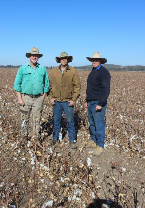 Family operation: Greg, Dougal and John Finlay, Finlay Farming, Emu Plains, Texas, wrapped up their cotton growing season on June 28. Picture: Helen Walker