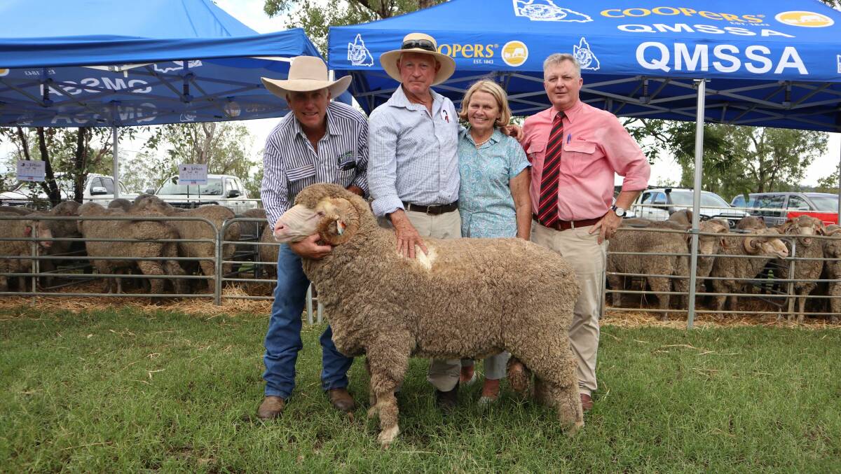 Nigel Brumpton, Mt Ascot Merino Stud, Mitchell, with the top priced ram at $5000, the buyers Bob and Margaret Little, Cunnamulla, and Andrew Meara, Elders Stud Stock, Toowoomba. Pictures: supplied.