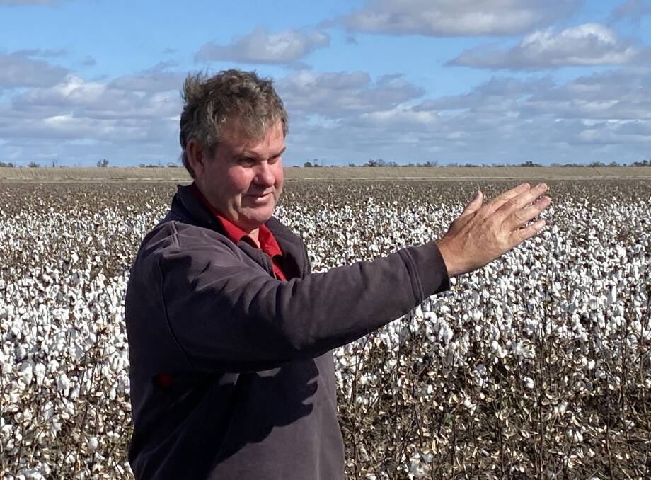 Simon Corish of Yattlewondi, Talwood, shows off his cotton crop. Corish Farms is a finalist in the Bayer Grower of the Year. Picture Cotton Australia.
