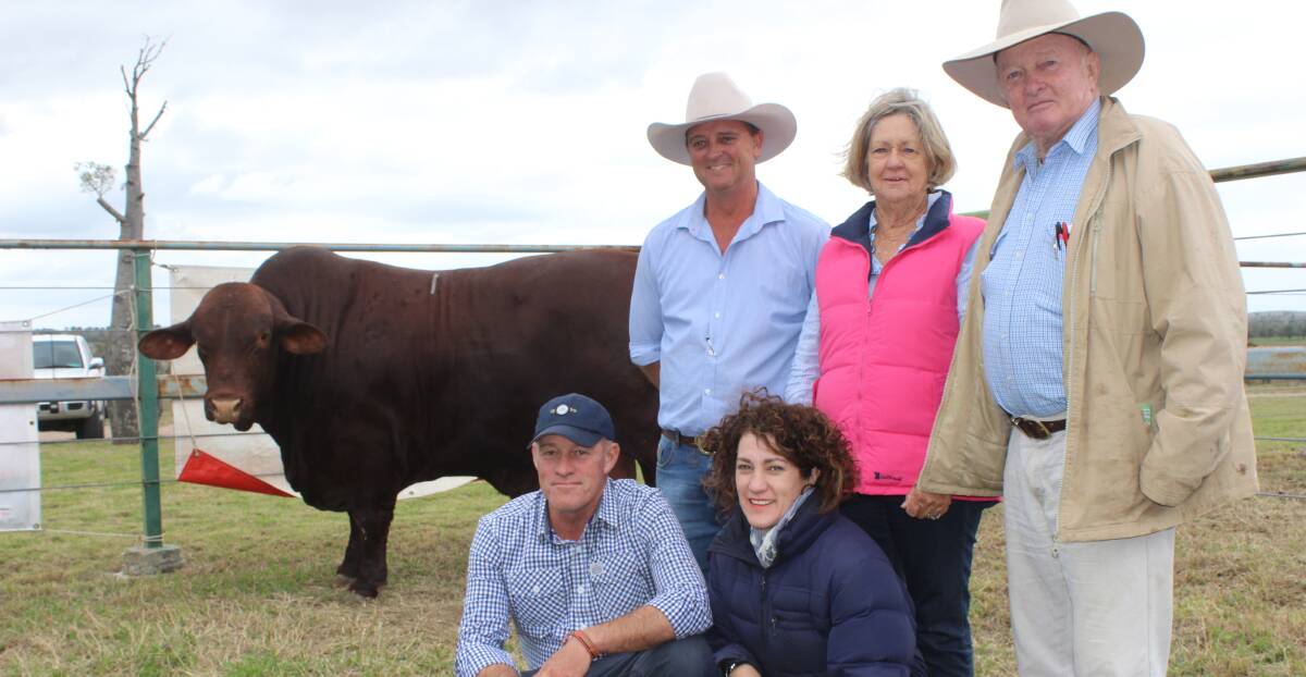 Diamond H Red Foo with Shane Hatton, and the buyers Syliva Kirkby, Phillip Kirkby, Scott and Wendy Ferguson.