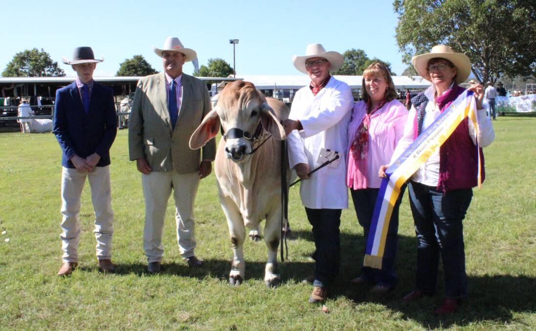 Associate judge Cooper Mollenhagen with Robert Sinnamon, grand champion bull Whitaker Mr Cruiser with Clint and Robyn Whitaker, and president of the Australian Brahman Breeders' Association Wendy Cole. Picture: Helen Walker 