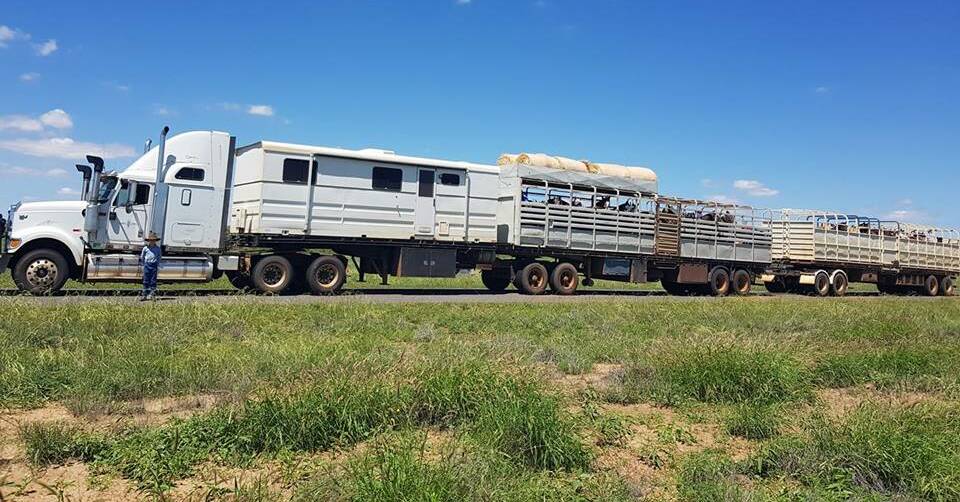 Packed for Easter: Champion campdrafter Jaye Hall, Bilbil, Muttaburra is packed and travelling to for the Yelvertoft campdraft, held at Julia Creek. Picture: Jaye Hall, Facebook