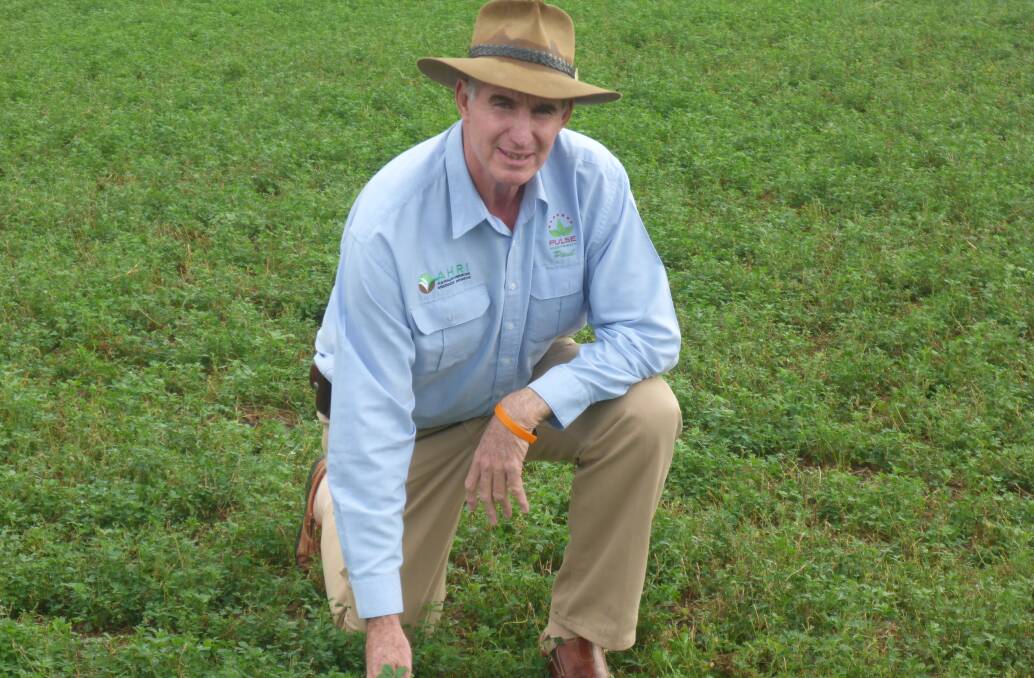 Paul McIntosh, Industry Development Agronomist, Toowoomba, was one of the recipients of the 2018 AgForce Grains Service to Industry award.