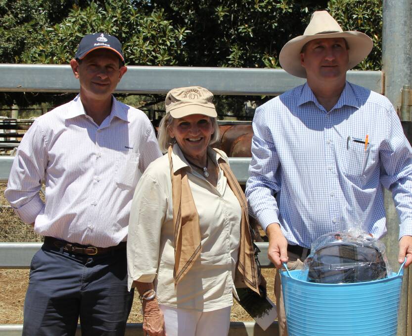 Support: The late Helen Sargood (centre) is pictured with Bob Middleton and Wade Krawczyk at a  Barcoo Breeders bull sale, Blackall.  Picture: Sally Cripps.