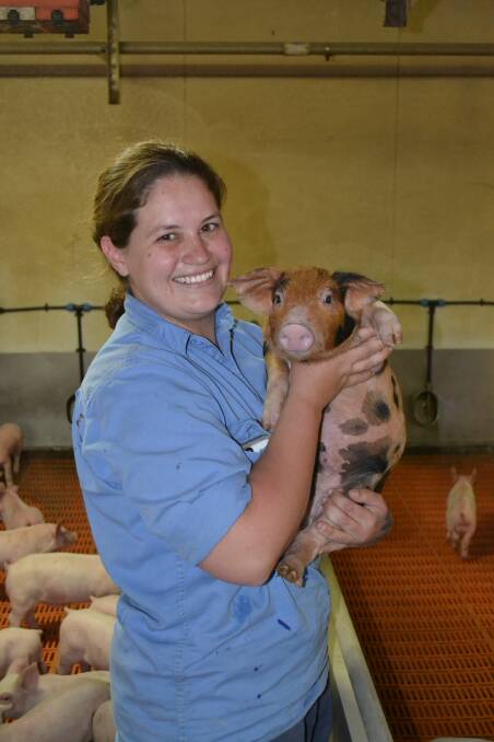 Dannielle McAuliffe with a 13-week-old piglet ready to be weaned.