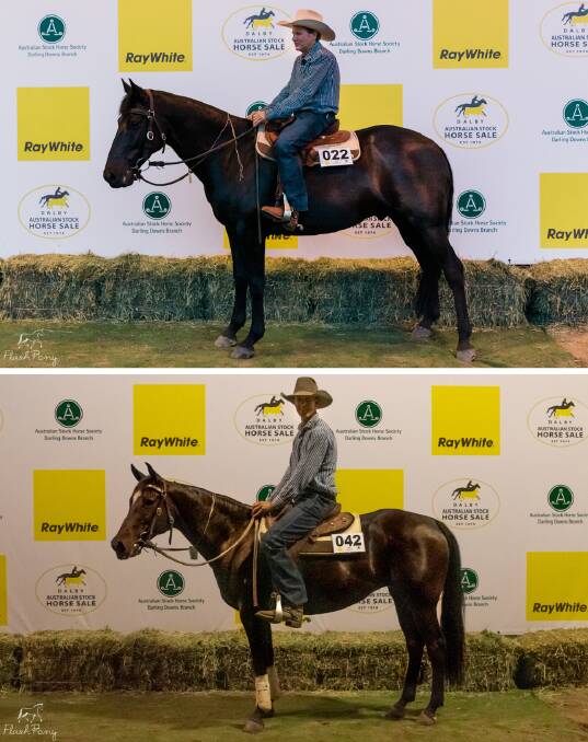 Equal top prices: Hazelwood Billy the Kid sold for $35,000 and top priced mare Meadowbrook Magnolia also fetched $35,000. Pictures: Flash Pony Photography.