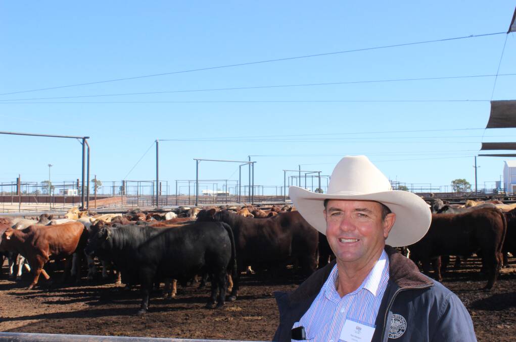 One happy man:  Rob Atkinson with some of his cattle behind him.