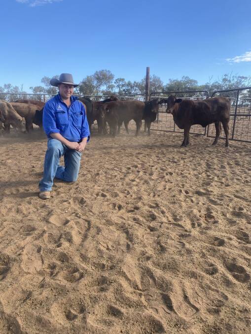 Quilpie-based livestock agent Sam Bartlett of Adcock Partners said he hasn't seen the cattle market so buoyant.
