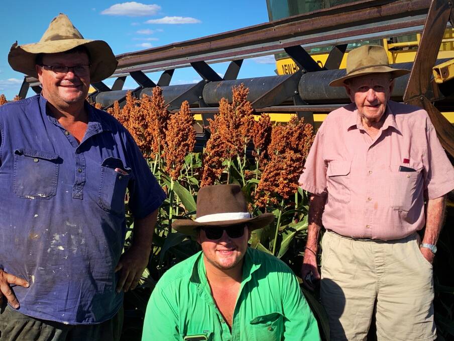 Ted Shooter with his son Harry and father Ray inspecting the Sentinel IG sorghum variety that was planted in a bone dry paddock in December.