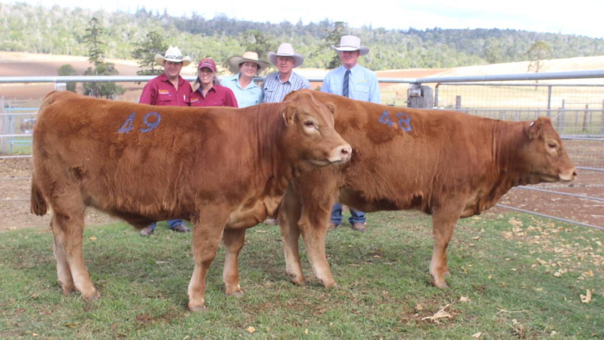 Darren and Shelly Hartwig, Gold Crest Limousins, with vendors Peter and Pauline Grant, and Corey Evans, Aussie Land and Livestock, with the 'pick of the pair" heifers. The Hartwigs selected The Downfall Kaye Queensland Q10 (lot 48) leaving the Grants to retain her sibling Q11. 