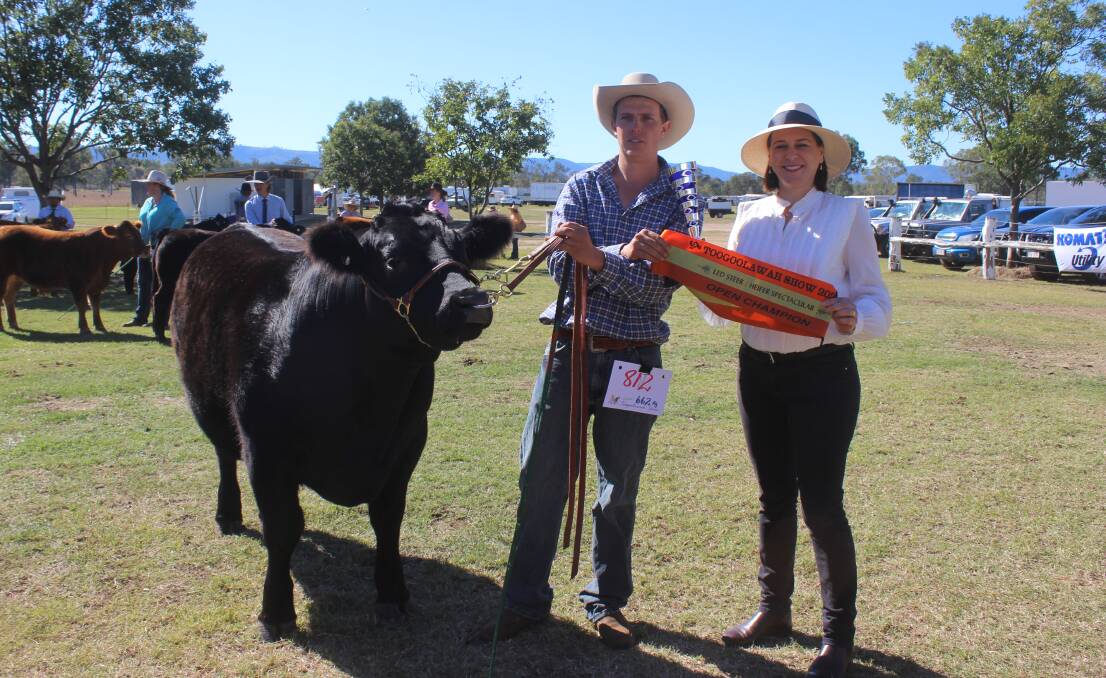 Champion led steer Black Jack held by Matthew O'Dwyer, Kalbar and sashed by Deb Frecklington.