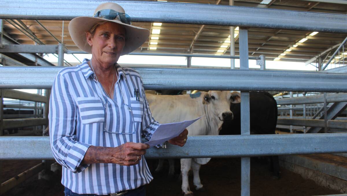Familiar face: Marilyn Brazier has been in the livestock game in Dalby for 43 years and has juggled her role as a livestock agent with motherhood. Picture: Helen Walker