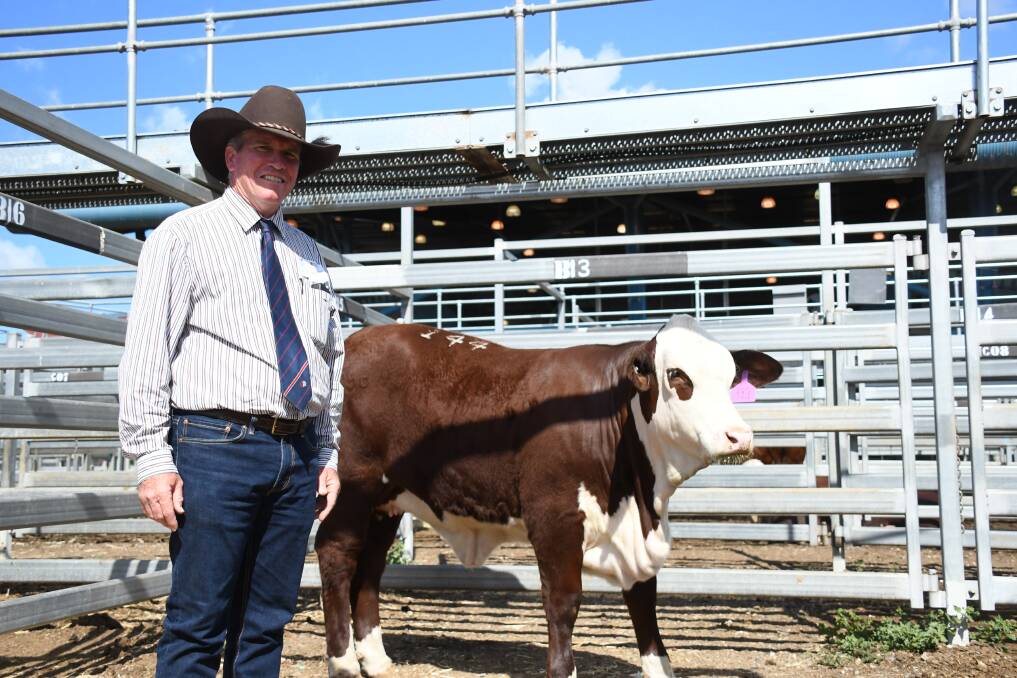Glynn Richards, Glynnelly, Casino, with his top-priced heifer purchase, Ashby Fantail 012 (P).