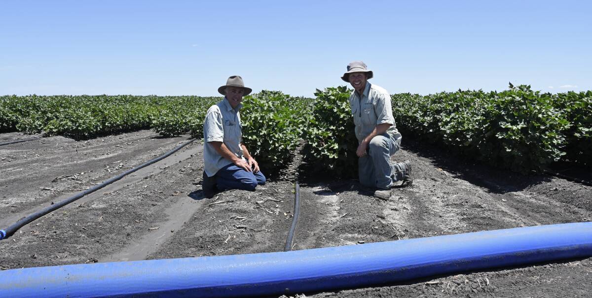 Howard and Jamie Rother have seen promising results from the 11 hectares of cotton they grew using the N-Drip irrigation system this season.