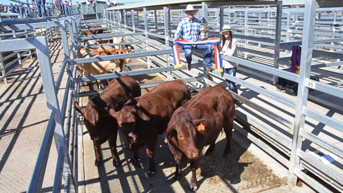 Andrew and Fiona Bassingthwaighte, Yarrawonga Cattle Co, Wallumbilla, with their pen of three Santa Gertrudis heifers that claimed the grand champion ribbon. Picture: Hayley Kennedy