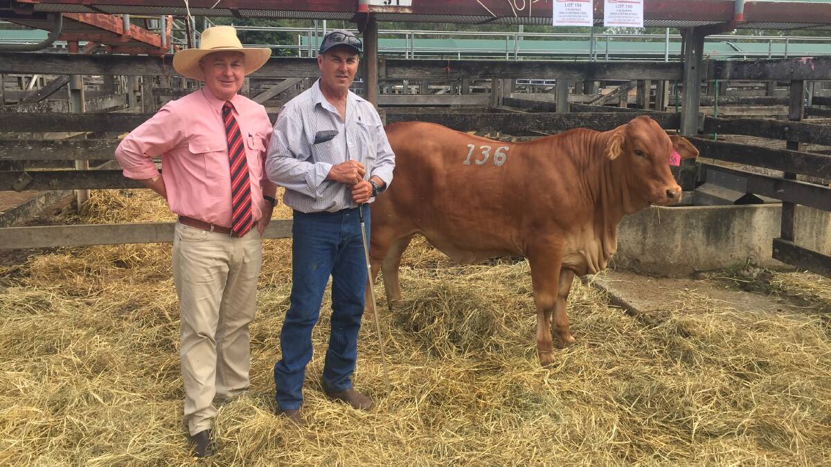 Dave Smith, Vale View Droughtmasters, Manumbar, with his $13,000 top selling heifer Vale View Cecilia 2 (P) and Elders auctioneer Andrew Meara.