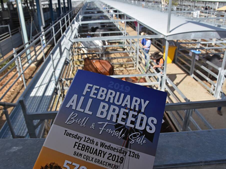February All Breeds – live updates