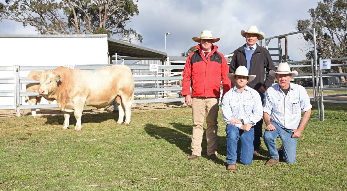 TOP SELLER: Elders auctioneer Michael Smith, and Palgrove's David Bondfield, Ben Noller and David Smith with Palgrove Pioneer (P) (R/F), purchased by the Bode family for $64,000.