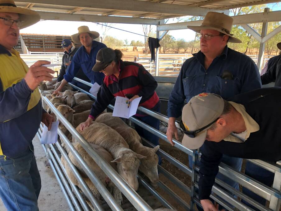 A Lifetime Ewe Management course has recently started in south west Queensland involving a group of seven producers from Westmar to Toobeah and Bollon.