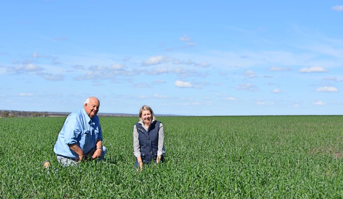 Noel and Liz Cook, Kindon, had only planted 800 hectares of wheat until 30 millimetres of rain fell across parts of their property last weekend.
