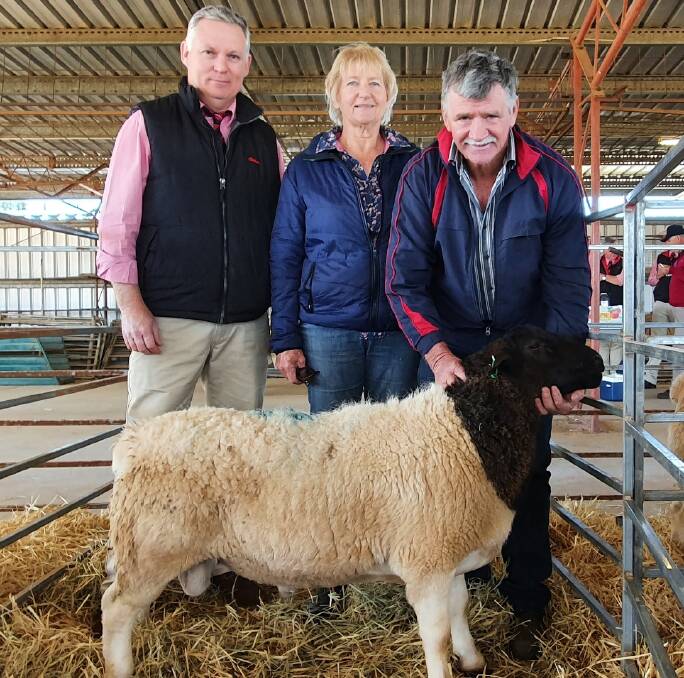 Elders agent Andrew Gaske with Barry and Janelle Henry, Henry Dorpers, and the top priced Dorper Ram that sold for $5000.