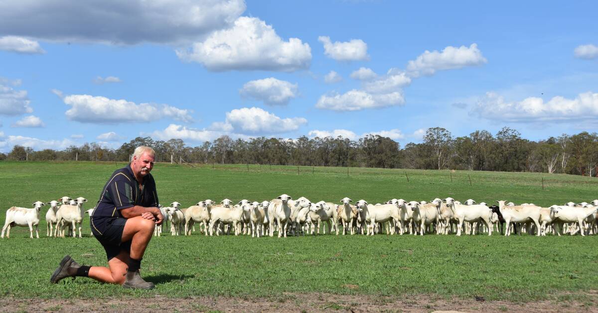 Greg Patch, Beauvale Australian Whites, Nanango, runs almost 200 sheep in a commercial and stud operation. Pictures: Hayley Kennedy
