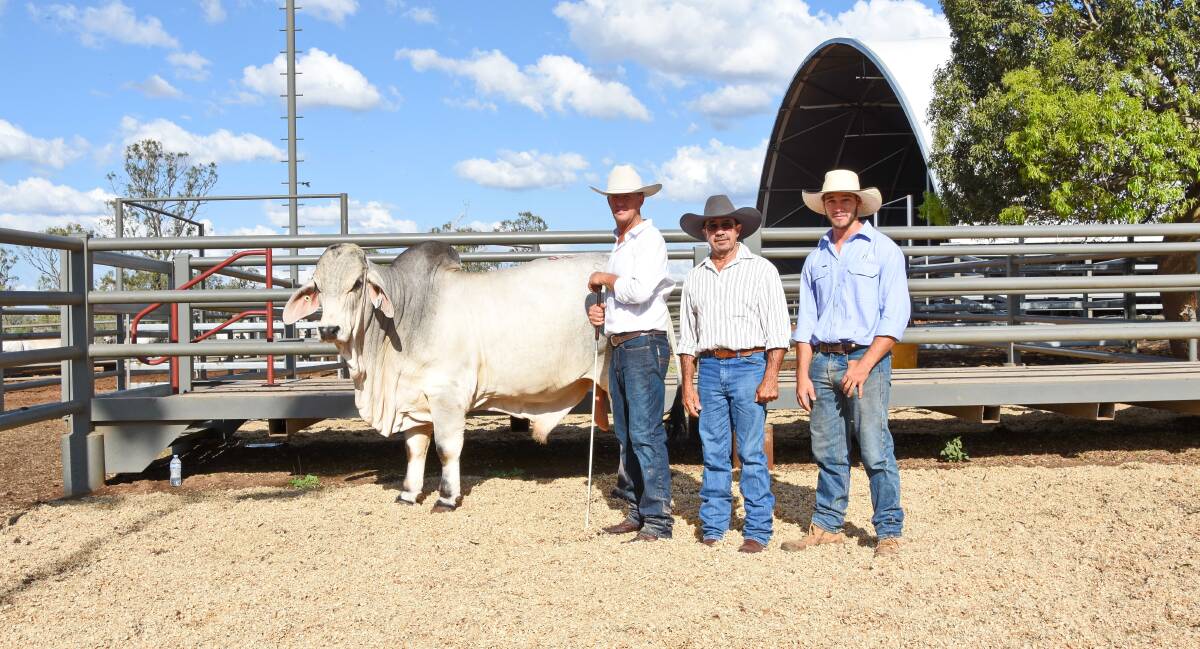SALE TOPPER: The $200,000 sale headliner, NCC Perry (IVF), with NCC stud principal Brett Nobbs, and buyers Andrew and Jarod McCamley, 2AM stud, Dingo. 