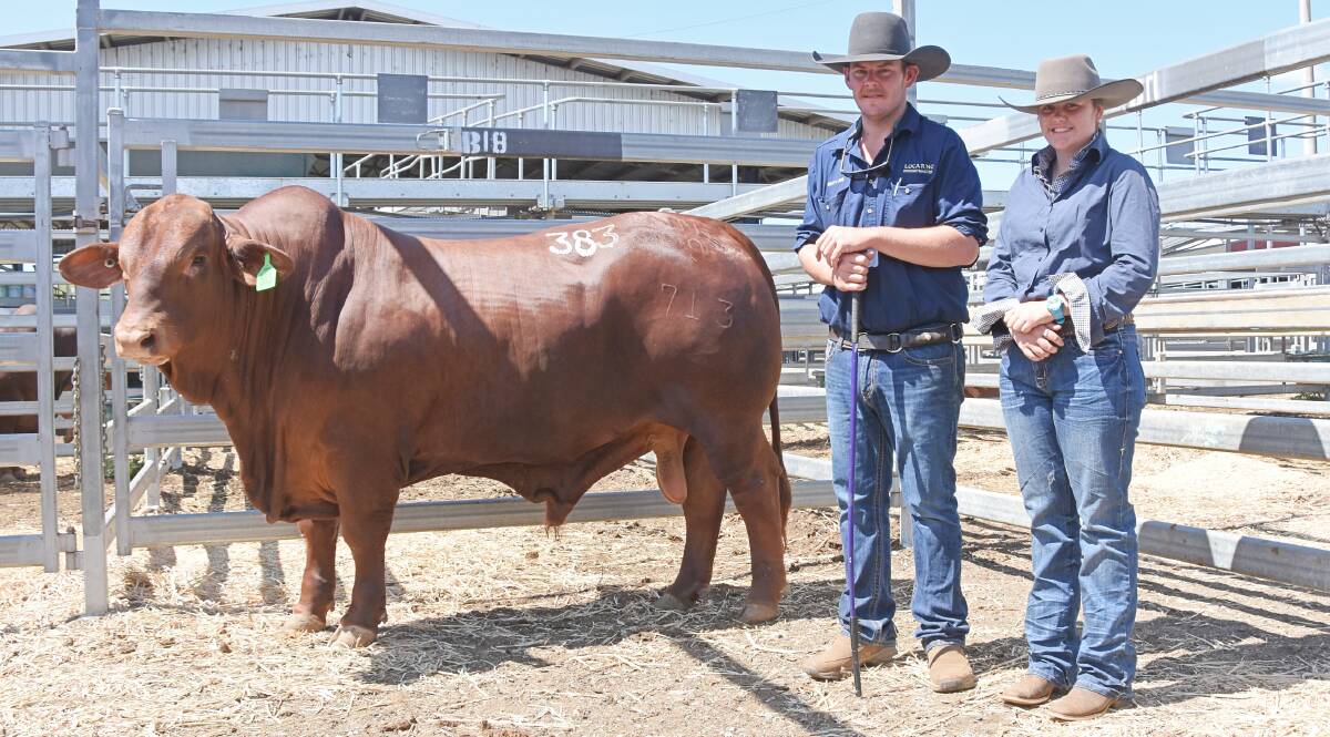 Brandon Russell, Locarno Droughtmasters, Dingo, with the lead bull of their draft Locarno Odin (P) which sold for $100,000, and buyer Meg Ingram, Skye Cattle Company, Alpha. Photo - Hayley Kennedy