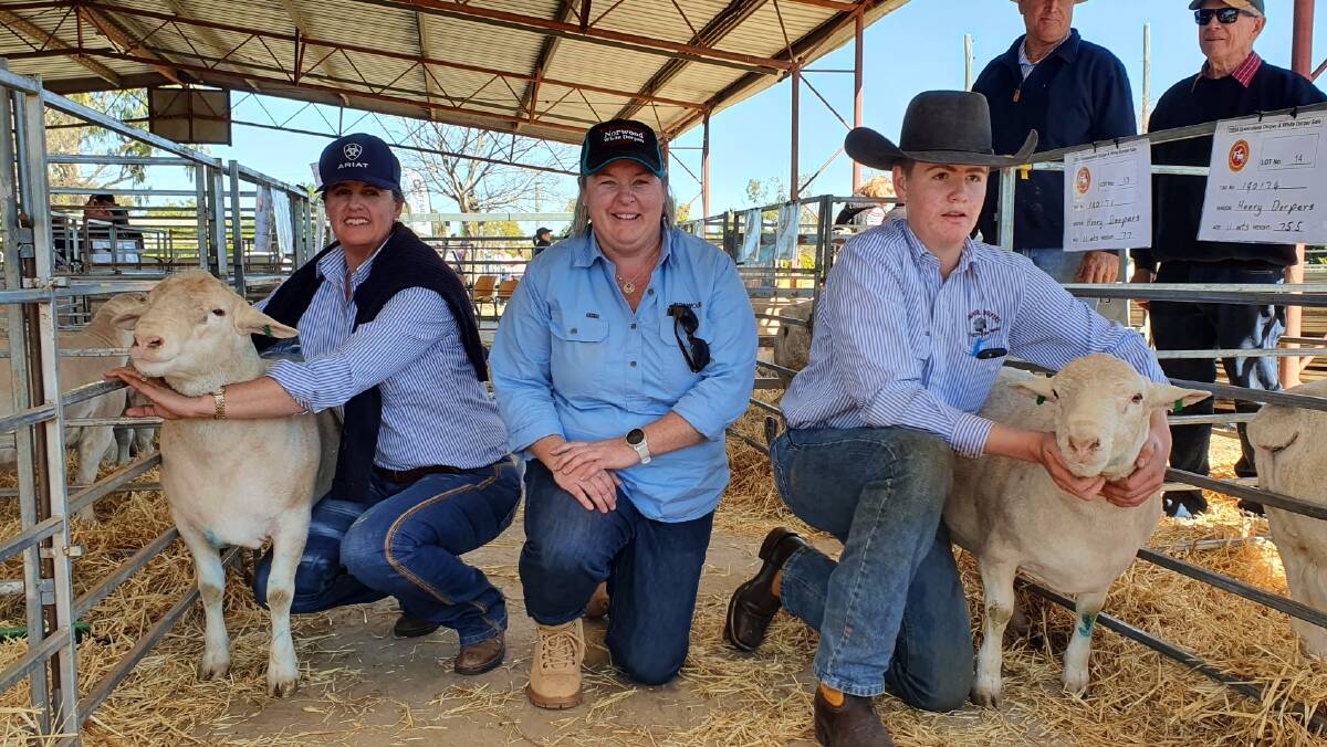 Buyer Melissa Southern, Boonoon, Thallon, vendor Anglea Ferguson, Norwood, Bundarra, NSW, and Mitchell Southern, Boonoon, with the two of the equal-top priced White Dorpers rams.