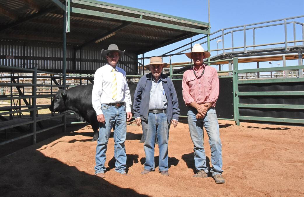 Ray White Rural Roma agent AJ Riley, and top-priced buyers Ian Macallister and Ben Whip, Roma Downs, Roma, with the top-priced bull Wyalla Navaska, which made $8000. 