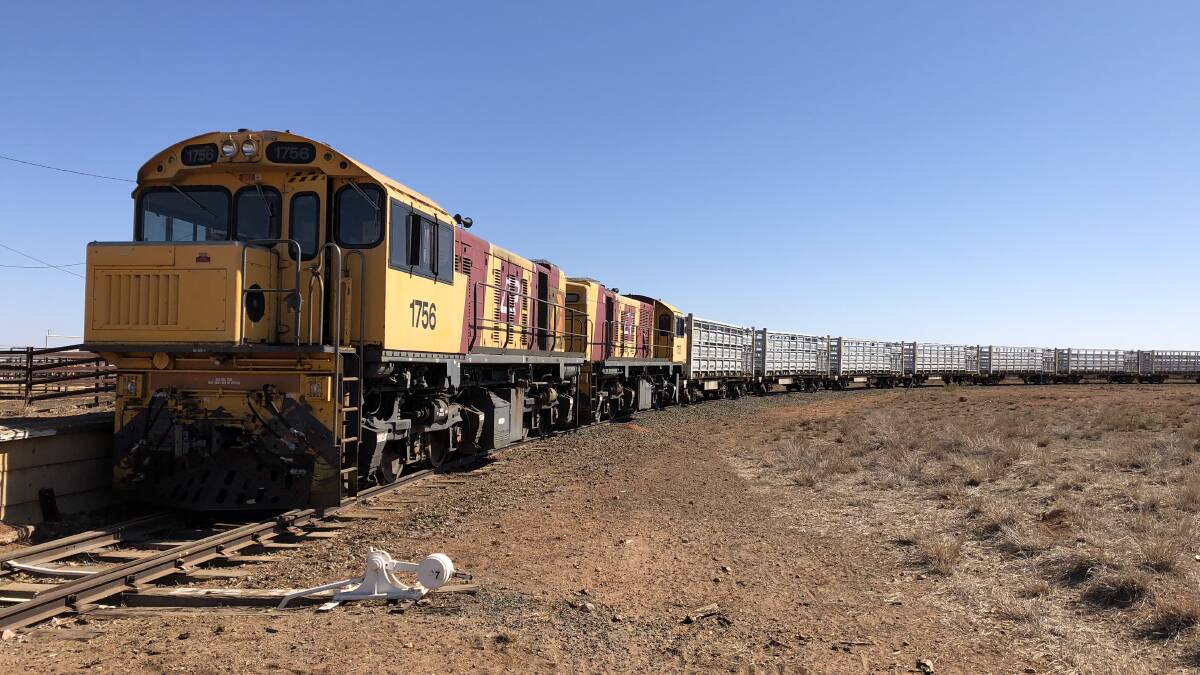 The project seeks to understand how long distance rail transport affects the eating quality of beef.