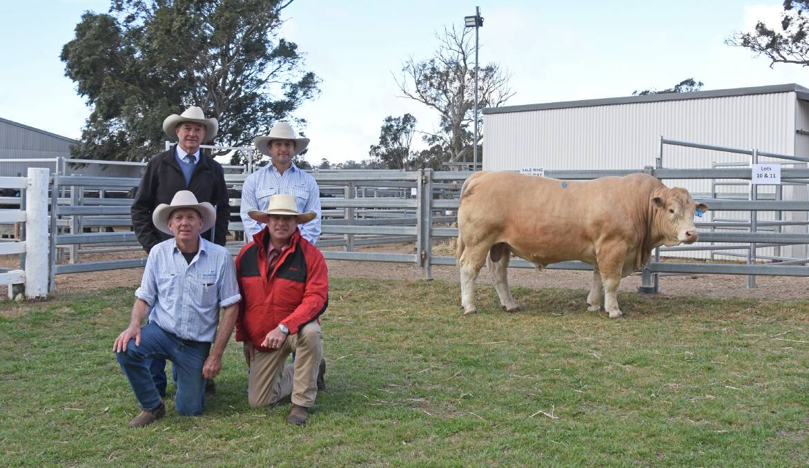 Palgrove's David Bondfield, Ben Noller and David Smith with Elders auctioneer Michael Smith, and Palgrove Powerhouse (P) (R/F), purchased by the Bode family for $55,000.