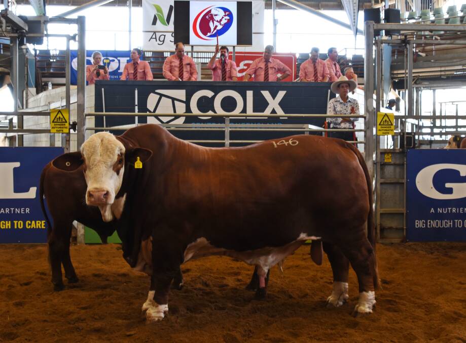 The Amor family's Carinya prefix recorded the highest average of the 2021 sale, with 11 bull achieving a $35,864 mean.