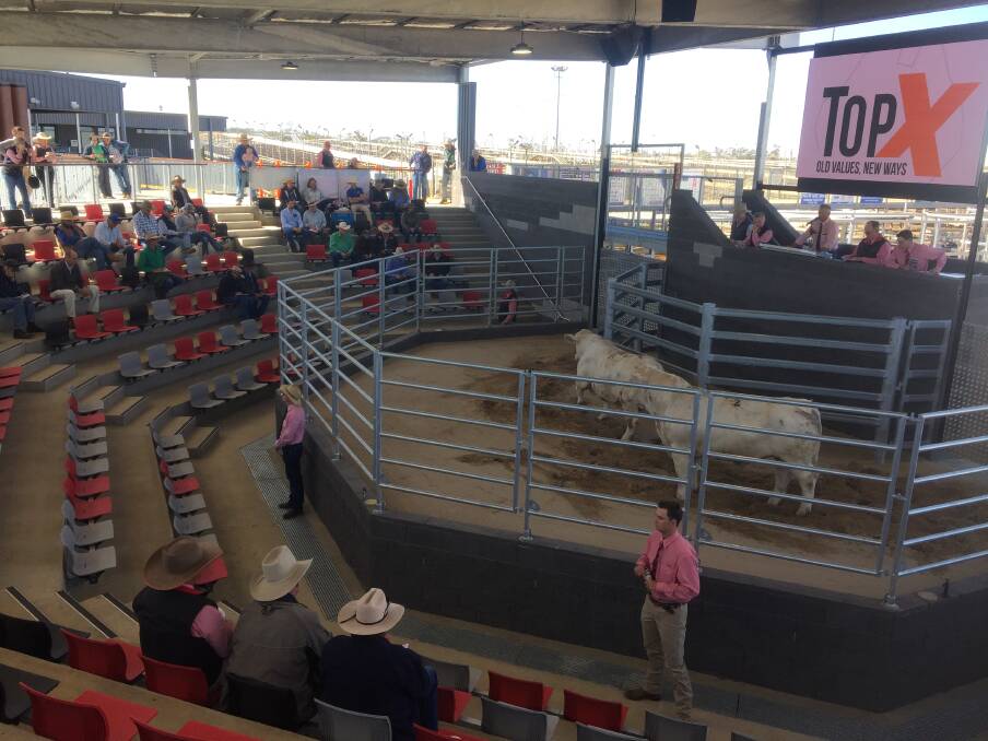 The buying gallery consisted mostly of repeat buyers at this years Riverglen Charolais bull sale held on Wednesday.