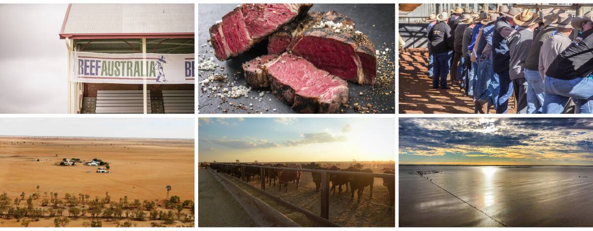 It would be fair to say the road to Beef in 2021 has been like no other before it, and it's a recipe that will ensure the conversations around the stud cattle rings, at the bars and over a plate of prime beef are anything but boring.