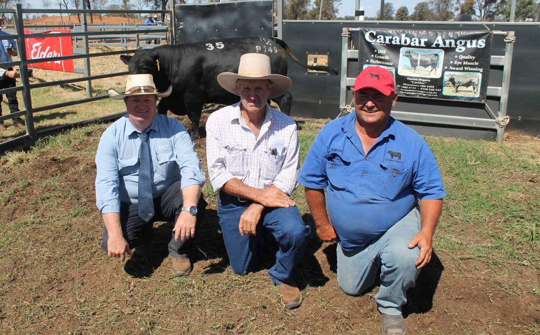 GDL auctioneer Mark Duthie, Dalby, buyer Stephen Pott, Glenleigh, Talwood, and Carabar co-principal Darren Hegarty, Meandarra, with the $12,000 top selling bull, Carabar Lotto P149.