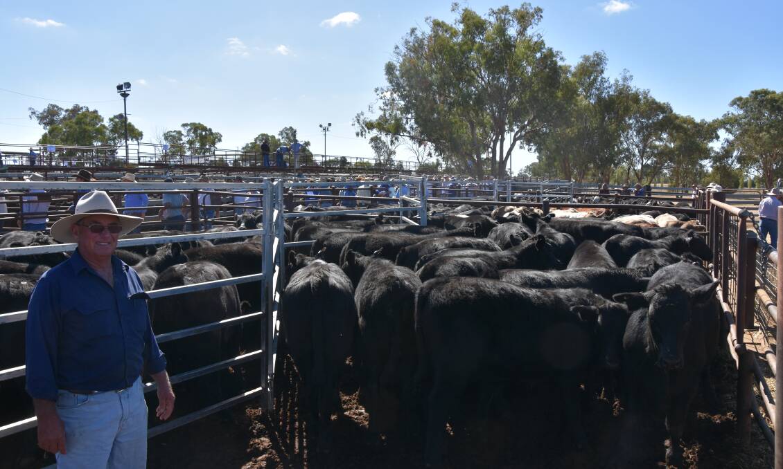 Rob Keogh, "Old Auburnvale", Inverell sold 20 black Angus steers for 321c/kg.