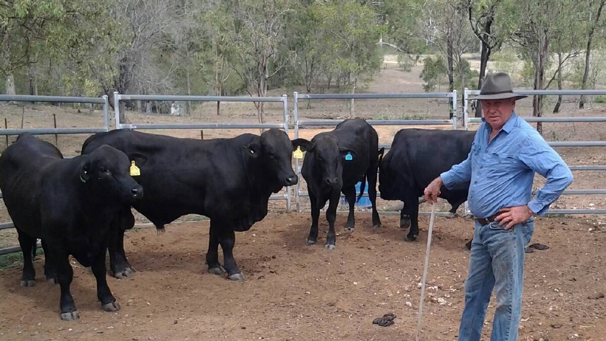 Joe Oram, Cooinda, Calliope, is taking part in the GRASS program which aims to reduce soil loss from grazing lands in reef catchments.