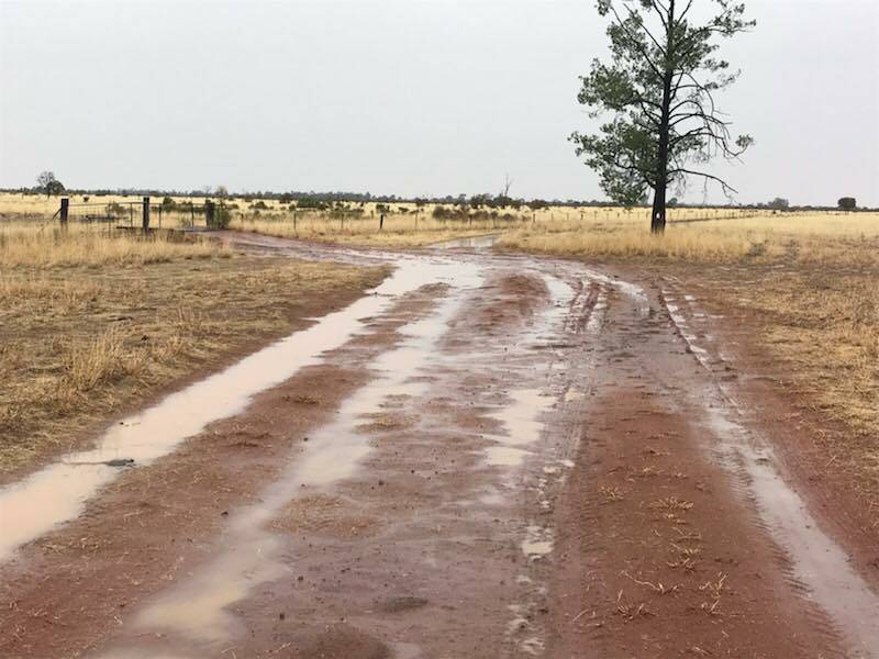 Simon Maller shared this picture to the Who Got The Rain? Facebook page from his family’s property, Carrington, 80 kilometres north of St George, which received 52mm over the weekend.