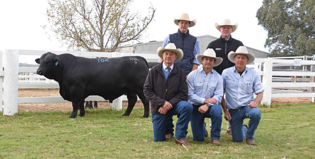 Brad Passfield, Hourn and Bishop, Moura, Nutrien auctioneer Colby Ede, and Palgrove's David Bondfield, Ben Noller and David Smith with the $34,000 Palgrove Primemover (P).