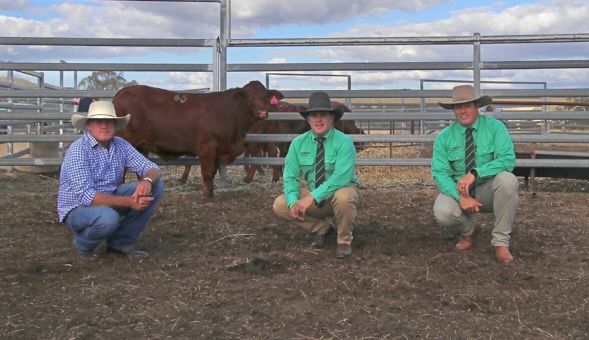 Scott Ferguson, Santa Central Sale, and Dane Pearce and Andrew Costello, Nutrien Toowoomba, with the $19,500 Goolagong Q2 (P), purchased by Norm Black, Ayrdale stud, NSW. Picture: Santa Central Sale Group.
