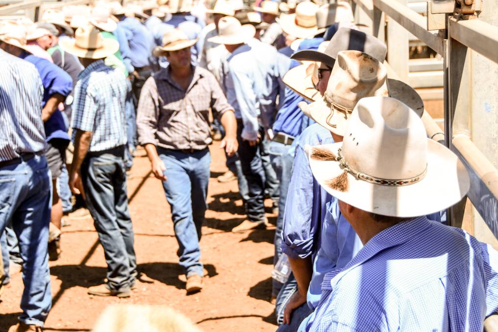 Saleyards operators are asking attendees to remain 1.5 metres away from others at all times, and ask that buyers sign off individually.