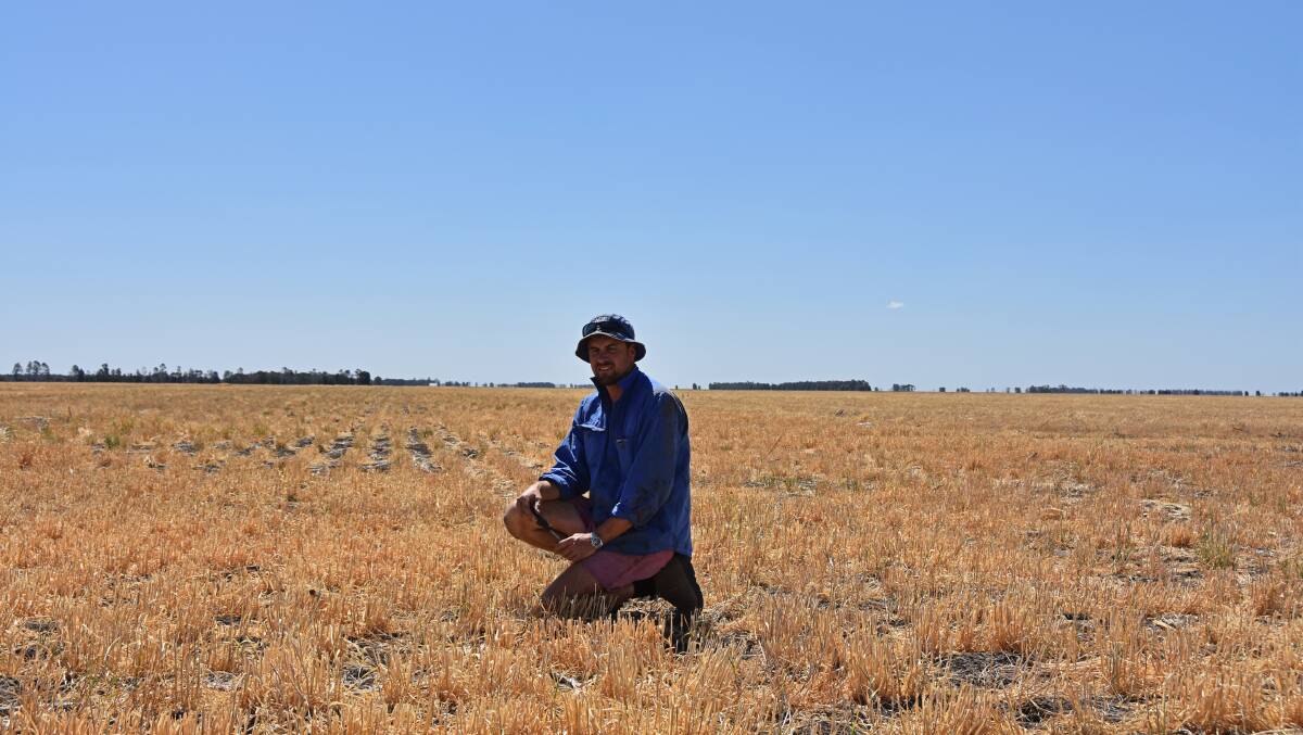 Daniel Wegener, Karingal, Brigalow, in barley stubble which was double-cropped from sorghum this year and yielded 1.5t/ha.